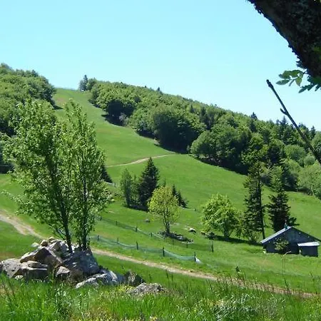 Le Nid Douillet Bed & Breakfast Plancher-Bas